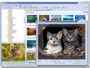 Náhled k programu FastStone Image Viewer 3.7